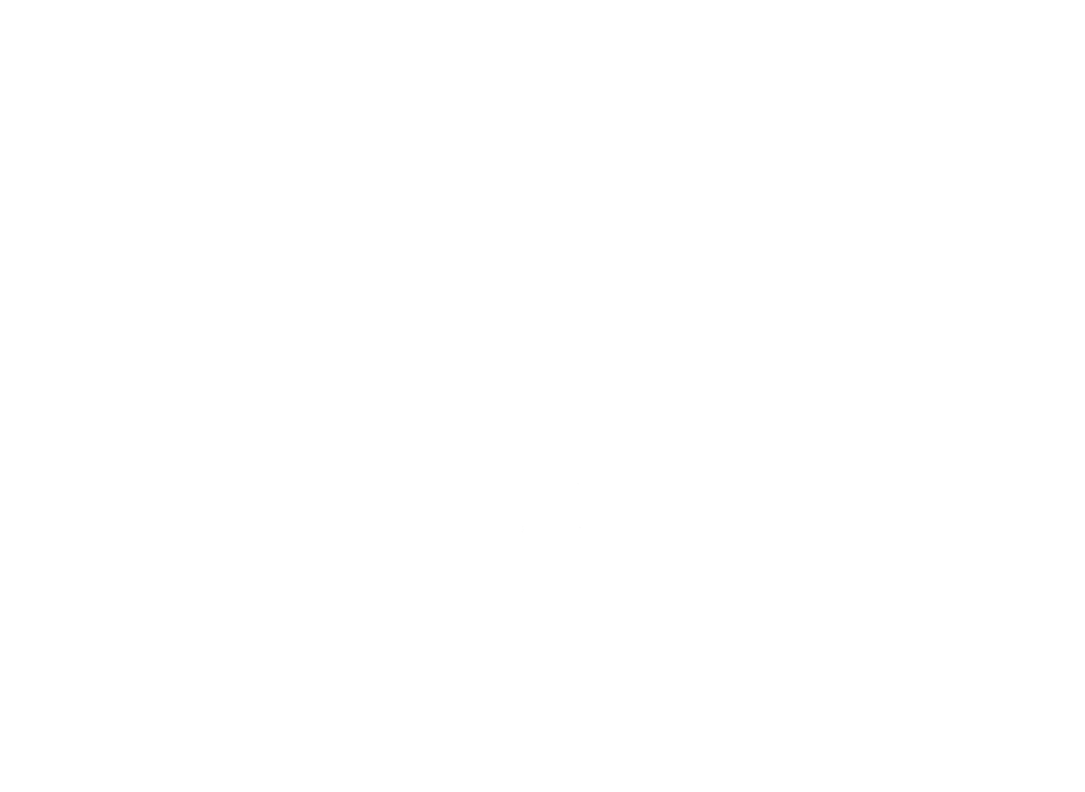 Local Secret App Logo